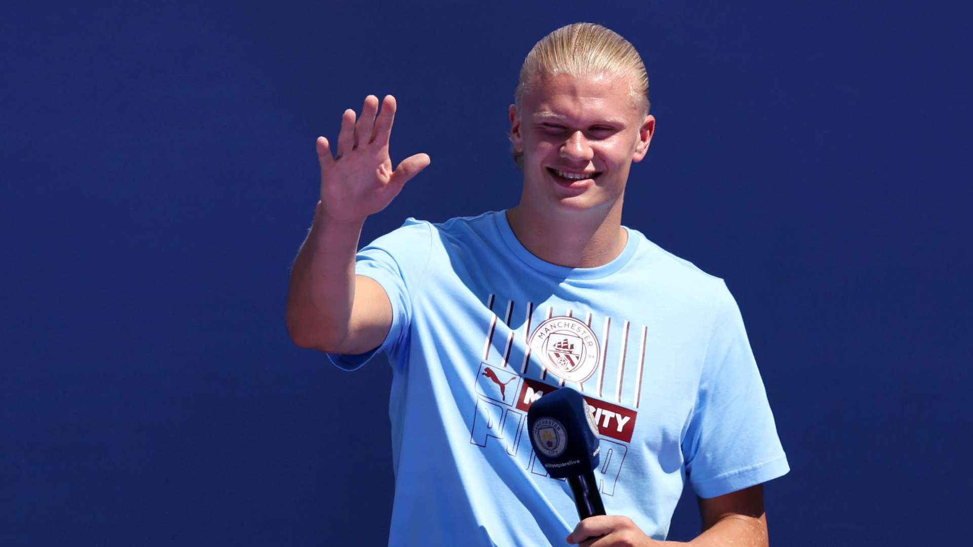 鲜艳的色彩 鲜艳的色彩